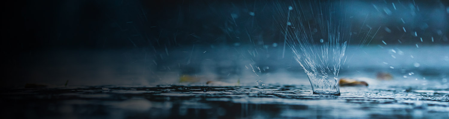 page-header-image